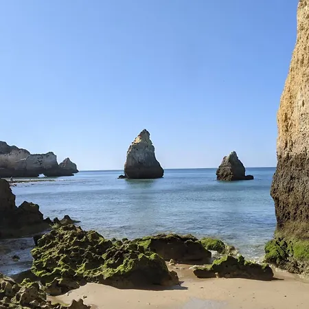 Catamaran Breakfast-brunch Included, Optional Lunch & Dinner Båthotell