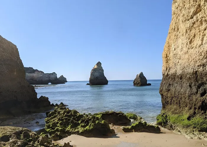 Catamaran Breakfast-brunch Included, Optional Lunch & Dinner Bådhotel