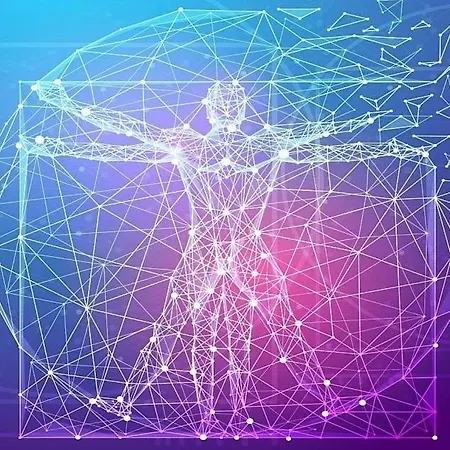 Catamaran Breakfast-brunch Included, Optional Lunch & Dinner 船上ホテル アルヴォル