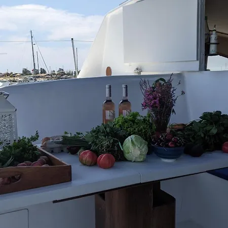 Catamaran Breakfast-brunch Included, Optional Lunch & Dinner 보트호텔